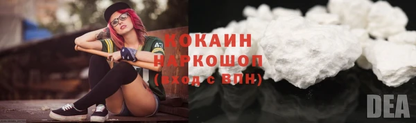 дурь Няндома