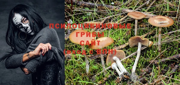 ГАЛЛЮЦИНОГЕННЫЕ ГРИБЫ Балабаново