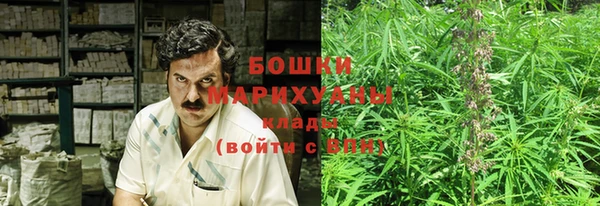 ГАЛЛЮЦИНОГЕННЫЕ ГРИБЫ Балабаново